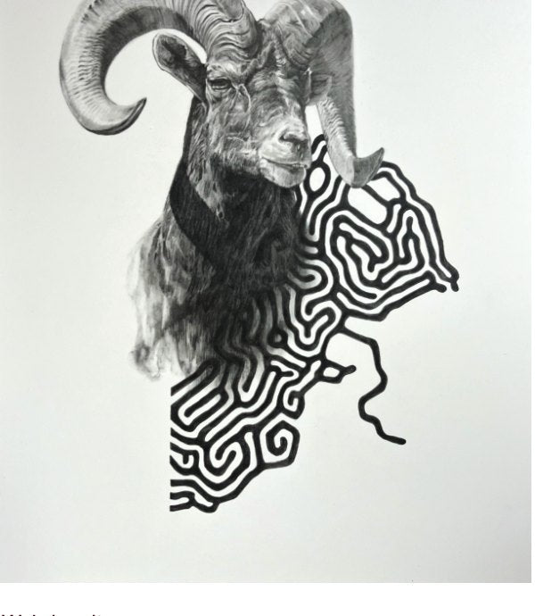 Weirdocult — Echoes from the vortex; Big horn study